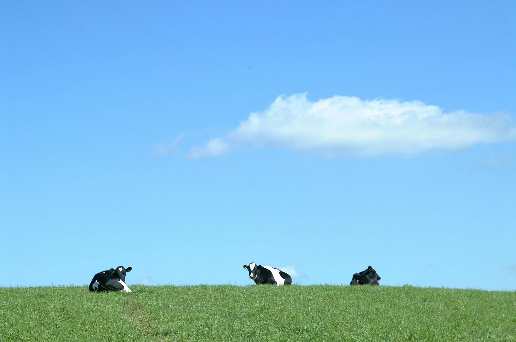 Best Grass-Fed Beef Jerky UK (2026) – Brands That Actually Use Grass-Fed Beef