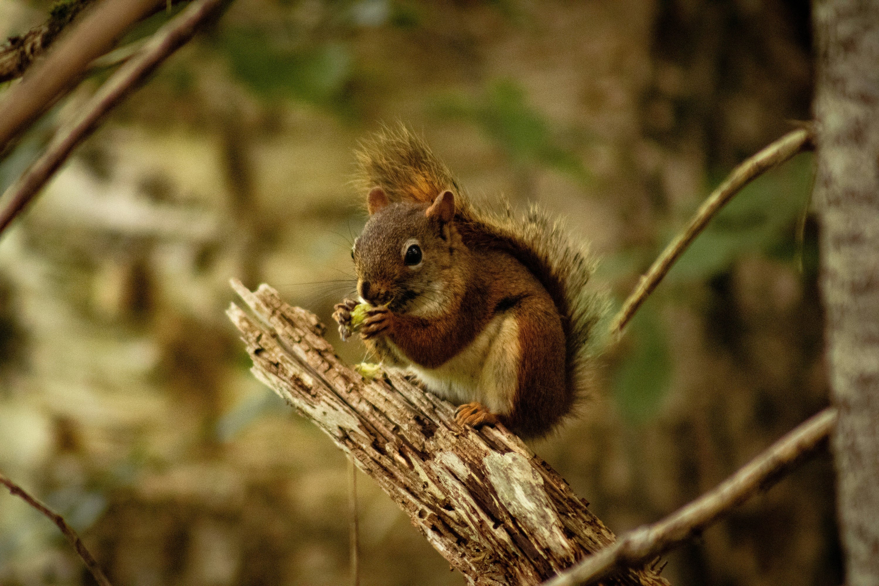 Protein Snacks On the Go: Best Picks for Busy People (UK, 2026)